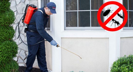 Akyurt Dezenfeksiyon böcek ilaçlama ve haşere kontrolü — ilaclama-tr.com